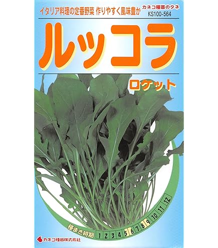 ＊ルッコラページ＊ ローマ】ルッコラ・セルバチカ小袋（500粒） - トキタオンライン